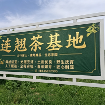 绛老寿茶，源自长寿之乡绛县，中条山野生连翘。天然纯粹。