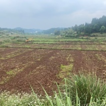 土地招租
