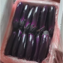 烧烤茄，紫长茄原产地发货，全国大量供应。
