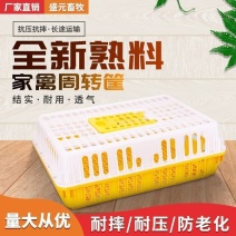 鸡笼家禽专用运输周转箱塑料鸡笼子家用养殖加大加厚鸡鸭鹅鸽