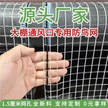 防鸟网方格网大棚放风口用结实耐用抗老化