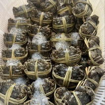 黄河口大闸蟹精品公母搭配鲜活水产产地直供