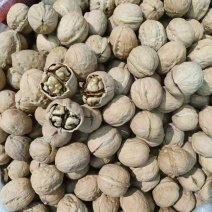 核桃系列，青皮脱皮干货，大量现货接代发