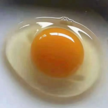 给孩子：成长能量站，一颗补活力​给老人：软嫩好消化，营养