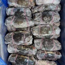 鲜活冷冻青蟹大青蟹餐饮酒店迷踪蟹香辣蟹食材冻品水产