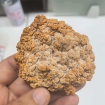 烘干金耳菌，泛白，处理价