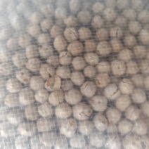鹰嘴豆炒熟的，电商专用，大中小颗粒都有货一手货源大量批