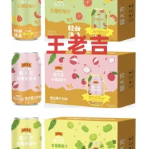 复合果汁饮料，一箱16罐，全国发货