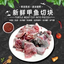 活杀新鲜甲鱼块