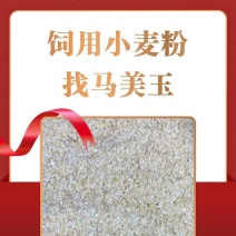 饲用小麦粉
