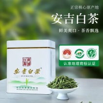 安吉**白茶2026年新茶沁欣铭正宗明前特级春茶