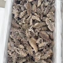 即食海参，微微残