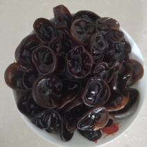 黑木耳