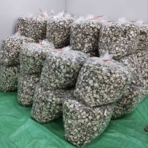 茄子干