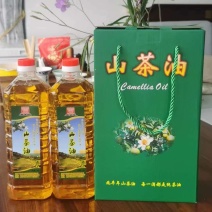 中国广西柳州三江县大籽山茶油，十里飘香茶油