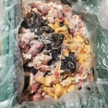 废鸡下脚料