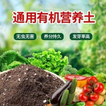 通用有机营养土