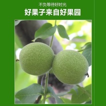青皮核桃一件代发源头工厂欢迎实地考察