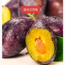 被阳光亲吻过昼夜温差掠过诚信誉承诺过产品质保证过