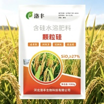 《颗粒硅》叶面肥，硅肥，水溶肥，生根剂，增产，增收效果好