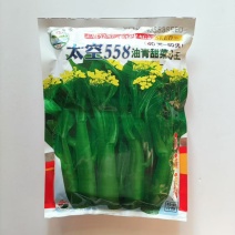 太空558杂交油青甜菜心种子口感好油绿粗条早熟高产商品性佳秋