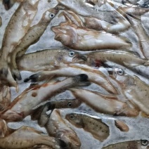 去内脏的小鲈鱼，鲈鱼板装