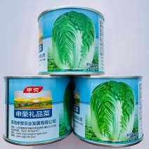 申荣菜王大白菜种子青研87114大白菜种籽中晚熟杂交白菜