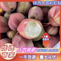 陕西大荔彩虹梨基地直供脆甜多汁量大从优欢迎联系