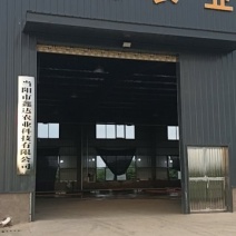 鱼腥草根