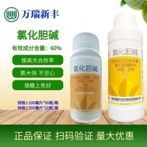 兰月有金来60%氯化胆碱地下作物根茎块根块茎膨大素