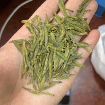小芽龙井