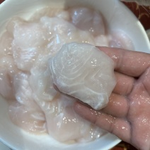免浆巴沙鱼片