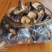 大山野生干香菇自然晾晒无熏硫农家土特产香味浓郁
