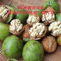 2026青皮核桃，去皮湿核桃，支持各平台电商一件代发