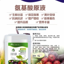氨基酸水溶肥，生根壮苗，黄叶变绿，冲施2亩地