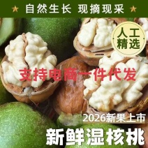 秒接单*2026年去皮湿核桃，支持电商一件代发