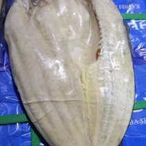 巴沙鱼