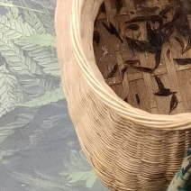 湖南湘西小溪里面的小鱼小虾