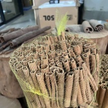 广西原产地桂皮标准10公分商超专用