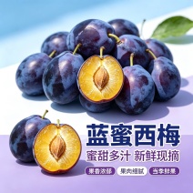 一件代发蓝蜜西梅/量大从优产地源头代发/各大电商平台均可