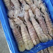 净重3.8斤皮皮虾（大中小号都齐全）