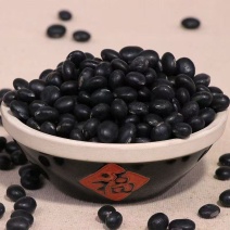 黑豆青心黄心黑豆大中小粒黑豆炒货食品用黑豆