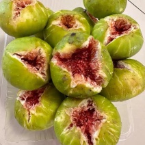 威海青皮无花果鲜果一件代发对接电商