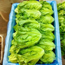 好货意大利