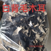 白背毛木耳优质毛木耳干品毛木耳批发零售毛木耳好货毛木耳