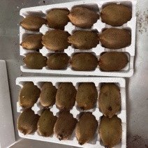 猕猴桃大量上市，口感脆甜，可快递代发，团购电商供应