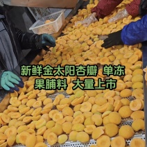 杏瓣，单冻，果脯料