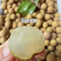 高州石硖龙眼产地直销精品果通货支持代发整车