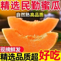 甘肃民勤沙漠蜜瓜，金红包，香甜软糯，产地货源