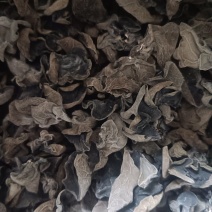 自家种植的黑木耳